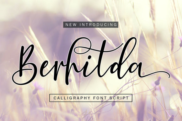 Berhilda: Elegant Calligraphy for Every Purpose